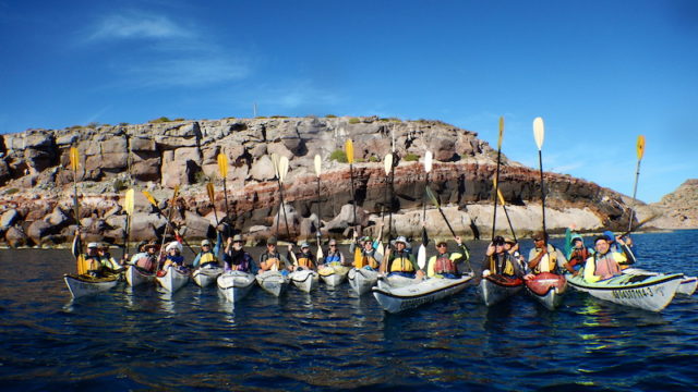a group shot of everyone in kayaks with paddles raised